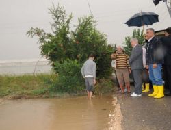 Sel Bölgesinde İncelemeler