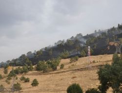 Erzurum'da Yangınlara Sebep Olan Çocukların Cezası Ailesine Kesilecek