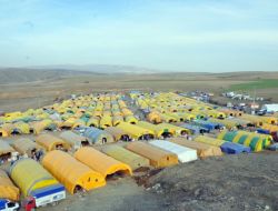 Mamak'ta Kurbanlıklar Pazara Çıkacak!