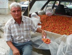 Alıç, Tezgahlardaki Yerini Aldı!
