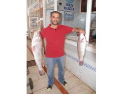 Yağmur Balıkçılara Bereketli Geldi, Tezgahlar Hareketlendi