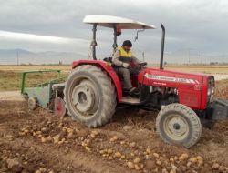 Niğde'de Patates Üreticisi Verimden Memnun, Ancak Düşük Fiyattan Dertli