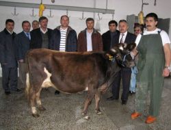 Sinop’ta Kurban Kesim Elemanı Yetiştirme Kursu