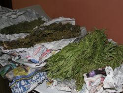 Erzurum-Erzincan Karayolunda Esrar