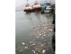 Zonguldak Limanı Çöple Doldu