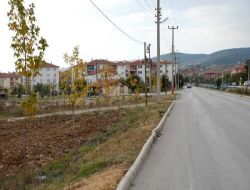 Bolu Belediyesi Çevre Yolu Üzerinde Ağaçlandırma Çalışmasını Tamamladı