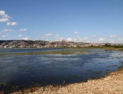 Kent, Su Kuşlarının Uğrak Yeri Oldu