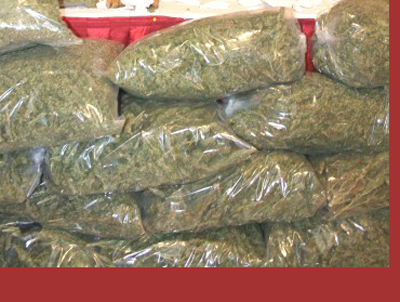 3 İlde Uyuşturucu Operasyonu