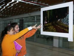 Kültürlü Öğrenciler Fotofest Fotoğraflarını Gezdi