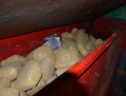 Operasyonda 250 Kilo Esrar Yakalandı
