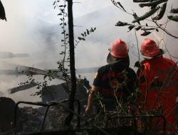 Zonguldak'ta Çıkan Yangın Paniğe Yol Açtı