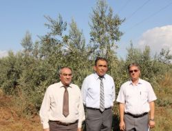 Zeytin Gen Merkezi Denilen Alanda Okul Yapımı Tartışması Tekrar Başladı