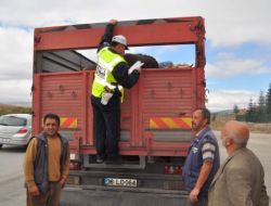 Yozgat'ta Kurbanlık Sevkıyatına Sıkı Denetim