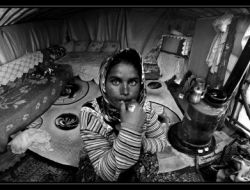 Ödüllü Fotoğraflar Sergileniyor