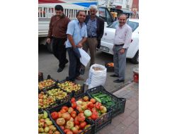 Batman'da Yerli Domates Bereketi