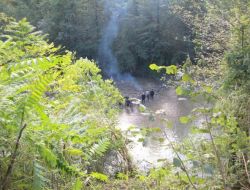 Görele-çanakçı Karayolunda Trafik Kazası: 1 Ölü 1 Yaralı