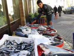 Havalar Soğuyunca Balıklar Tezgâha İndi