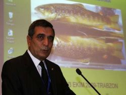 Deniz Alabalığı'nın Nesli Tehlikede