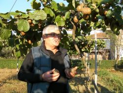 Bir Zamanlar Taneyle Satın Aldığı Kiviyi Şimdi Bahçesinde Yetiştiriyor