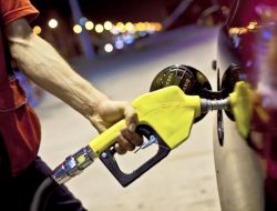 Starpet Esenler’de Yüzde 12'ye Varan İndirim