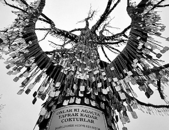 Her şehit için bir künye