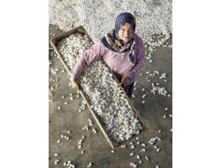 Fotofest Ödülleri Sahiplerini Buldu