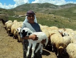 Akın: Spekülatörler Kurban Fiyatlarını Yükseltmeye Çalışıyor