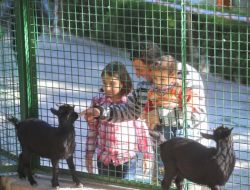 Evcil Hayvanlar Parkı Çocukların İlgi Odağı Oldu