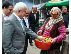 Giresun Valisi Şahin, Kümbet Yaylası'nda İnceleme Yaptı