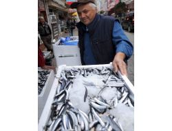 2 Tl'ye Düşen Hamsi Fakirin Sofrasına Da Girdi