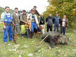 Bahçelerine Zarar Veren Yaban Domuzları İçin Sürek Avı Başlattılar