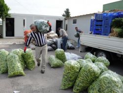 Antalya’dan Van’a 12 Ton Yaş Sebze Meyve Gönderildi