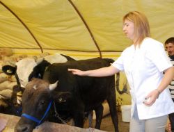 Etimesgut'ta Kurban Hareketliliği Başladı