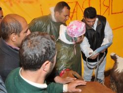 Keçören'de Modern Kurban Alanı Hizmet Vermeye Başladı