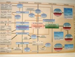 Vali Yardımcısı Turgut: Yaşam Alanı Kenarına Şehir Kurup Gölü Kurutmuşuz