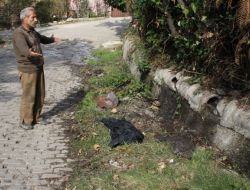 Mahalle Sakinlerinden 5 Yıldır Onarılmayan Kanalizasyon Tepkisi