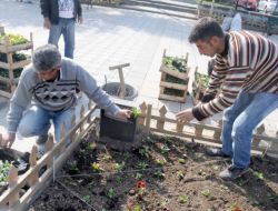Afyonkarahisar'a Kışlık Çiçek Dikilecek
