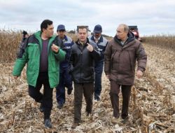 Medvedev ve Putin Birlikte Mısır Hasadı Yaptı