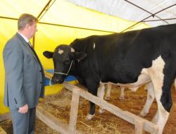 Çorlu’da Kurbanlık Canlı Hayvan Pazarı Kuruldu