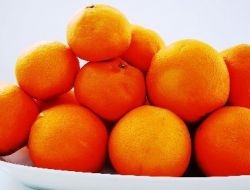 Erzin Portakalı Almanya Fuarında Tanıtılacak