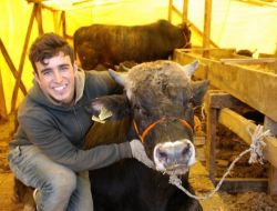 Kocaeli’ndeki Vanlı Kurban Satıcıları Geri Dönemiyor