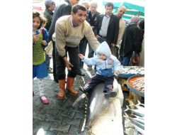 110 Kiloluk Orkinos Çocukların İlgi Odağı Oldu