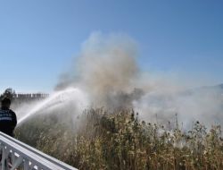 Edremit'teki Sazlık Yangını Korkuttu