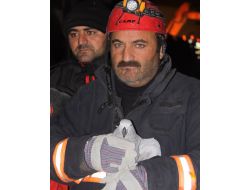 Depremden 110 Saat Sonra Enkazdan Canlı Papağan Çıkarıldı