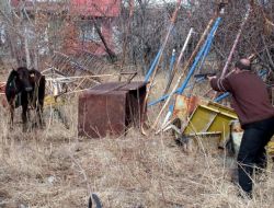 Erzurum Büyükşehir Belediyesi 'Kurban Yakalama Timi' Kurdu