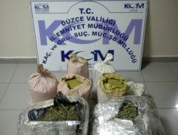 DÜZCE’DE ESRAR OPERASYONU