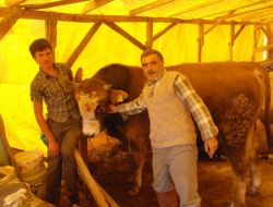 Kurban Pazarında Durgunluk