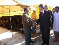 Başkan Tuna, Kurban Pazarını Denetledi