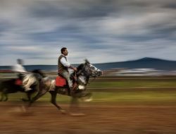 4 Mevsim Kocaeli 2011'in En İyi Fotoğrafları Seçildi