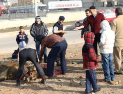 Palandöken Belediyesi Kurban Bayramı İçin Gerekli Tedbirleri Aldı